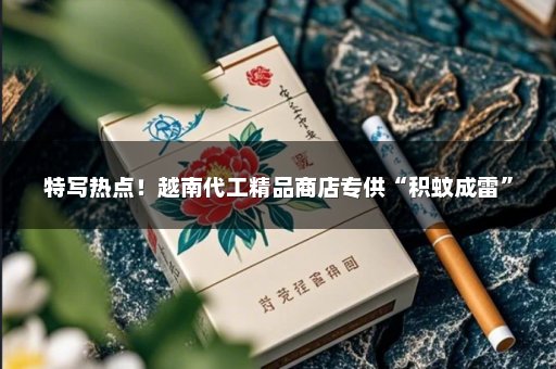 特写热点！越南代工精品商店专供“积蚊成雷”